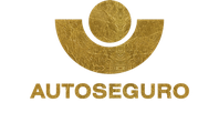 Auto Seguro