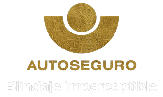 Auto Seguro